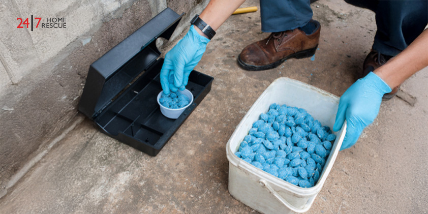 Are Tenants or Landlords Responsible for Pest Control? Eliminating rats with a baited poison box as part of pest control measures
