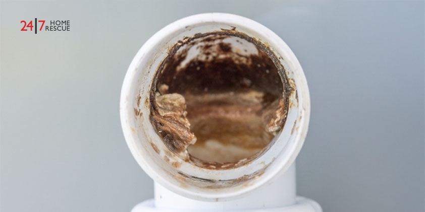 Vaillant F83 Fault Code – Causes & How to Fix It Close-up of a clogged plastic household drain pipe blocked by dirt and debris