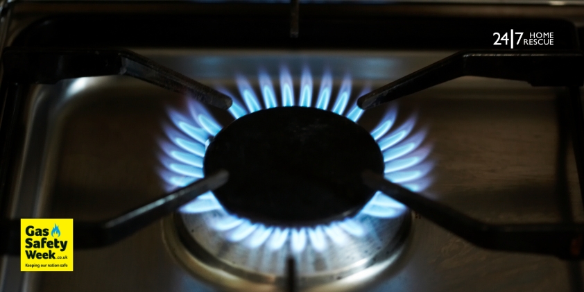 Gas hob burner